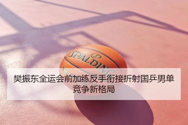樊振东全运会前加练反手衔接折射国乒男单竞争新格局